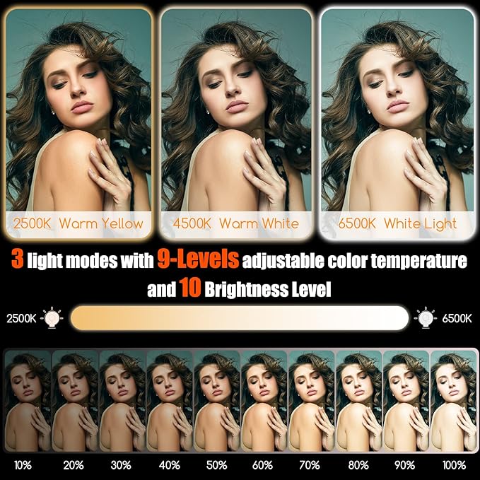 Selfie Light - BANSINE USB-Rechargeable LED Phone Light - Portable Photo Light