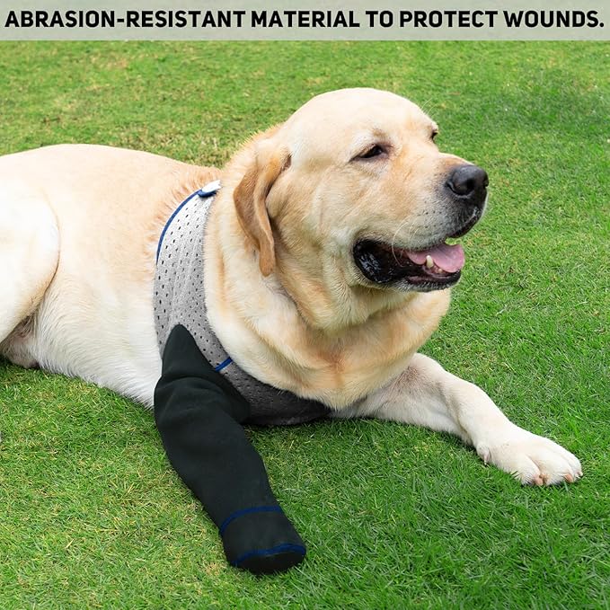 COODEO Dog Socks to Prevent Licking Paws, Healing Boots & Paw Protectors with Non-Slip Bottoms for Wound Protection, Waterproof Sleeve Shoes for Licking（Grey，XL_Right