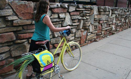 Green Guru Dutchy Pannier