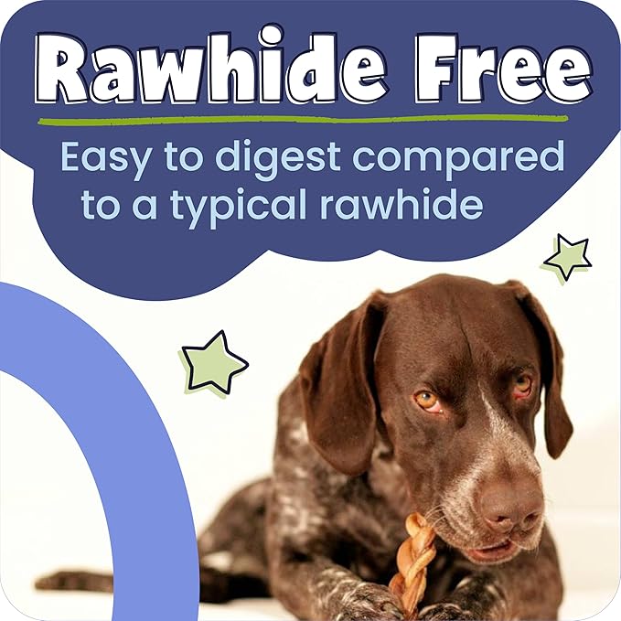 Pawstruck Natural 7" Braided Bully Sticks for Dogs - Long Lasting Rawhide Free Low Odor Single Ingredient Chew Treat for Aggressive Chewers - 1lb Bag