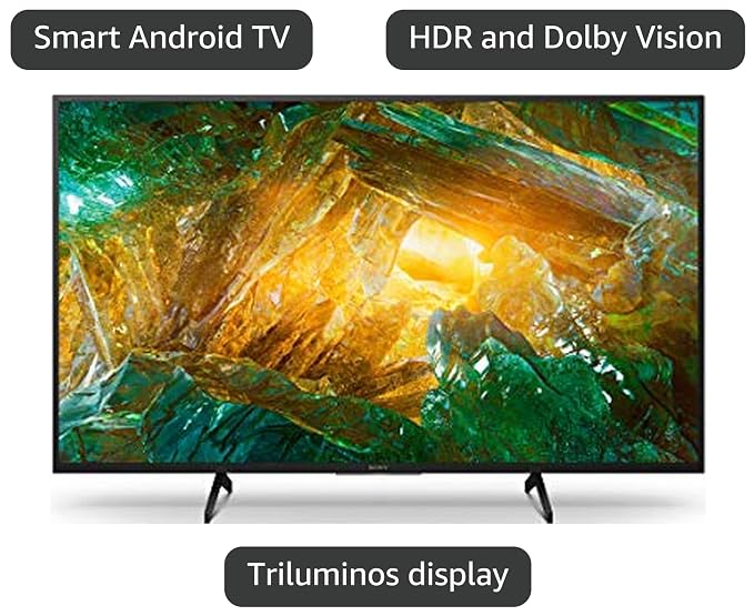 Sony X800H 65-inch TV: 4K Ultra HD Smart LED TV with HDR and Alexa Compatibility - 2020 Model