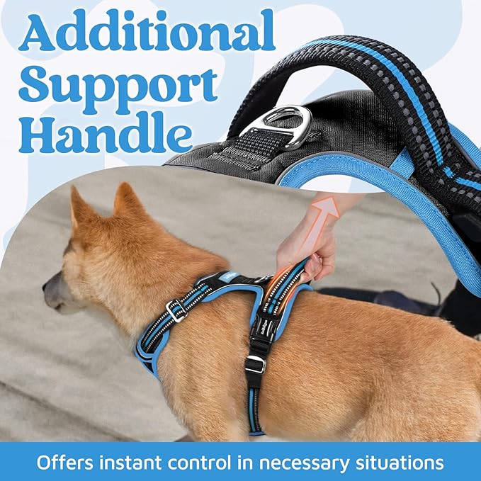 rabbitgoo Dog Harness Small Sized, No Pull Dog Vest with 3 Buckles, Adjustable Soft Padded Pet Harness with Easy Control Handle and Reflective Strips, Black & Sky Blue, S