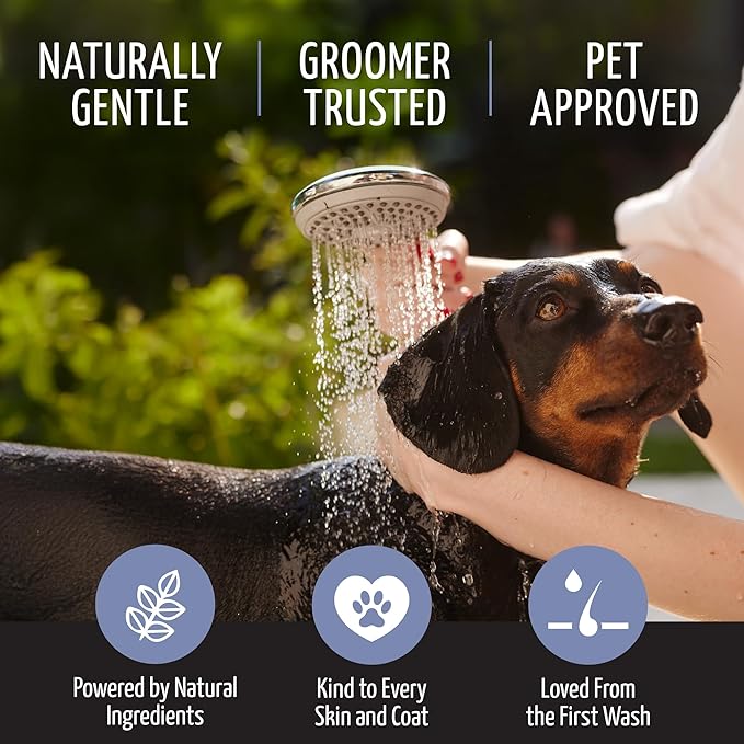 Tauro Pro Line Moisturizing Dog Conditioner Detangler - Pet Conditioner for Dogs, Safe for Cats & Puppy Sensitive Dry Skin & Damage Fur (Magic Plex 13.5 Fl Oz)