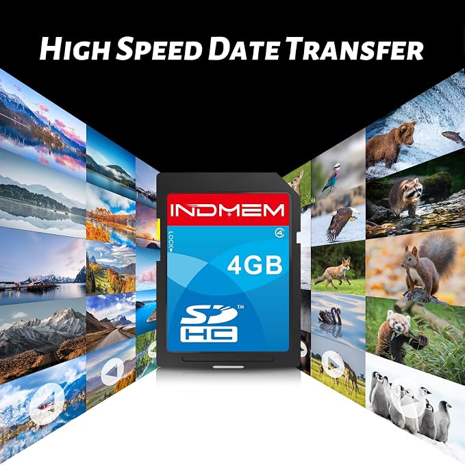 SD Card 4GB, 10 Packs Class 4 4GB Flash Memory Card MLC Standard Secure Digital