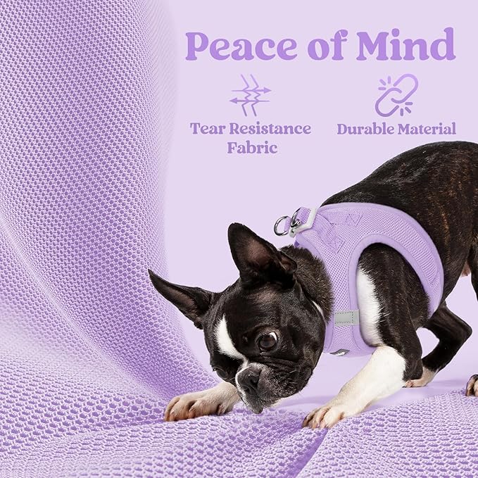 rabbitgoo Small Dog Harness, Step-in Soft Mesh Puppy Vest with Safety Buckle, Breathable Reflective Pet Harness for Small Sized Dogs, Light Purple XS