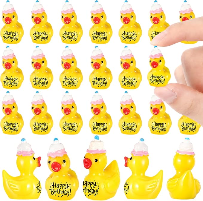 Skylety 25 Piece Happy Birthday Resin Ducks