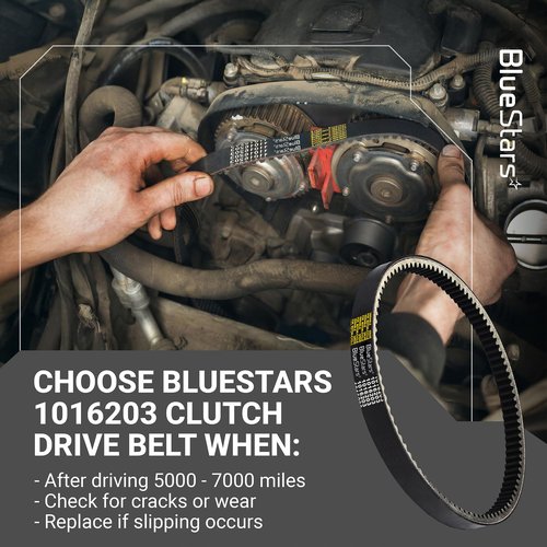 BlueStars Durable 1016203 Clutch Drive Belt - Compatible with Club Car 1992-Up DS and 2004-Up Precedent Gas Golf Carts