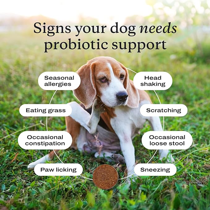 PetLab Co. Probiotics for Dogs, Support Gut Health, Occasional Diarrhea, Digestive Health & Seasonal Allergies - Salmon Flavor - Packaging May Vary - 30 Soft Chews