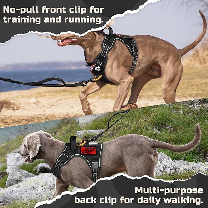 rabbitgoo Tactical Dog Harness for Large Dogs, No Pull Military Service Vest with Handle & Molle, Easy Control for Training Walking, Adjustable Reflective Straps, Black, XL