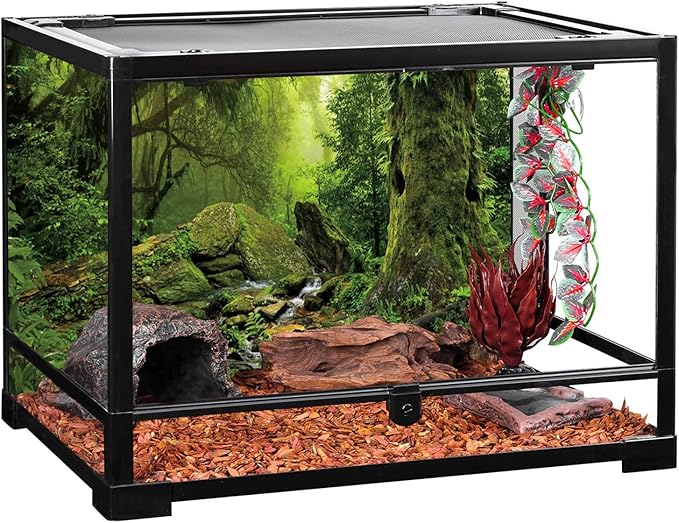 AWERT Tropical Forest Terrarium Background Stream Green Huge Tree Reptile Habitat Background Foggy Rainforest Aquarium Background 24x16 inches Durable Polyester Background