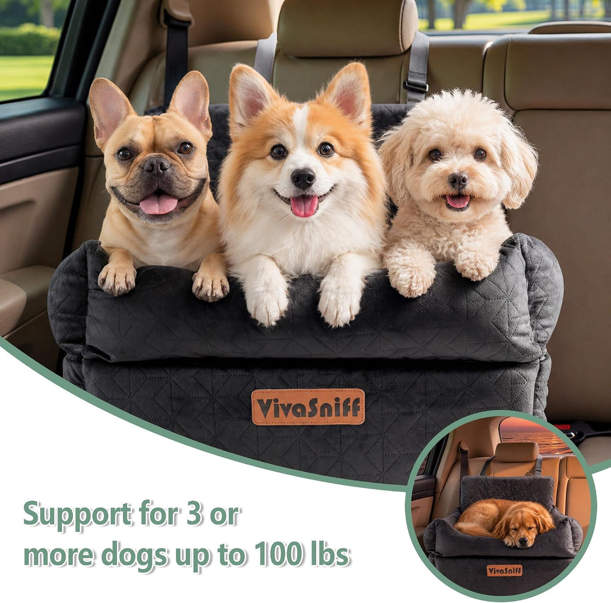 Dog Booster Car Seat for Small/Medium Dogs up to 100 lbs, 6" High Density Memory Foam Elevated Pet Car Bed Detachable and Washable with 2 Storage Pockets &amp; 2 Safety Belts (Black)