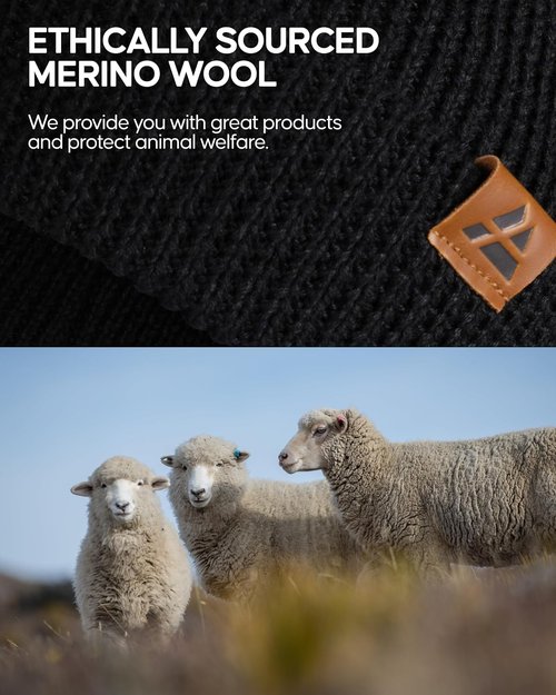 DANISH ENDURANCE Merino Wool Beanie - Warm Knitted Winter Hat for Men & Women