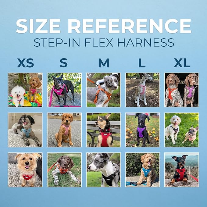 Best Pet Supplies Voyager Adjustable Step-in Flex Breathable Mesh Dog Harness for Small Medium Large Dogs (Orange), XS