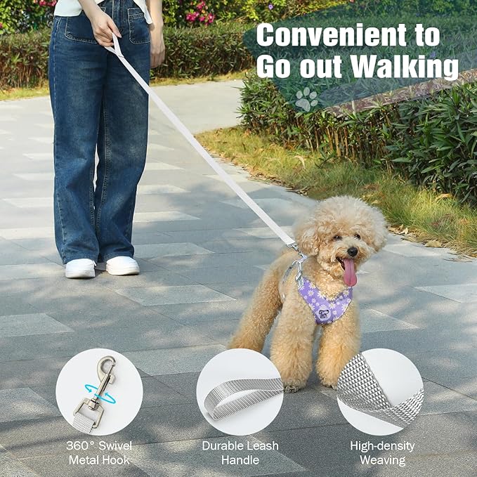 Pawaboo Small Dog Harness and Leash Set, Puppy Harness X-Frame No Pull No Choke, Dog Vest Harness Adjustable for Small Medium Sized Dogs,Soft Breathable Pet Harness for Walking Outing, M, Purple Daisy