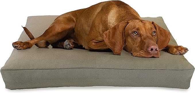 Medium - 36 x 24 x 5 - Natural Premium Org Hemp Dog Bed - Organic Latex Fill - Removeable Cover