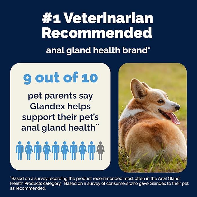 Vetnique Glandex Dog Fiber Supplement Powder for Anal Glands with Pumpkin, Digestive Enzymes & Probiotics - Vet Recommended (Regular or Advanced Strength) - Boot The Scoot (5.5 oz, Pork Liver)