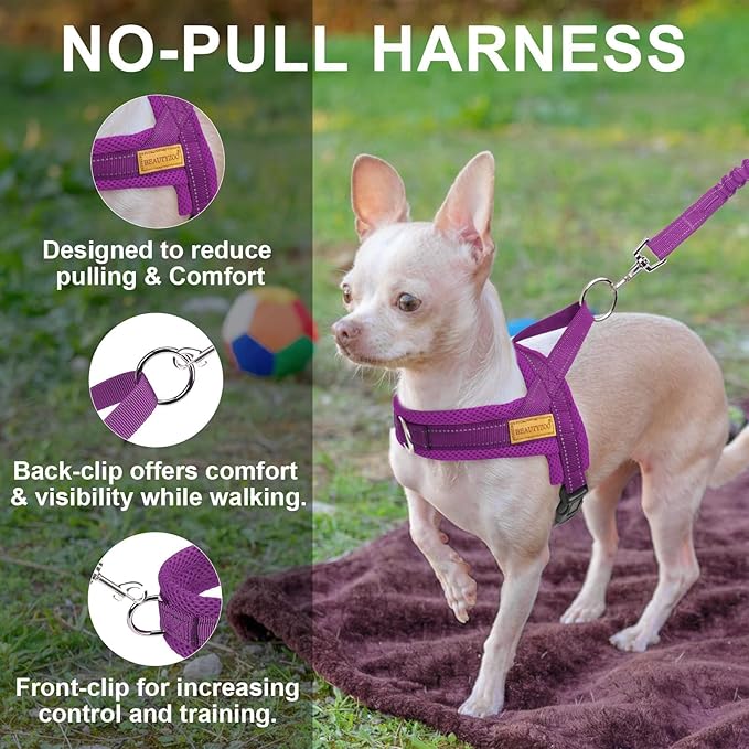 BEAUTYZOO Dog Harness for Small Dogs, No Pull Dog Harness and Leash Set, Soft Escape Proof Puppy Vest Harness with Handle, Reflective Lightweight Step in Harness for Girl Boy Dogs, Purple S
