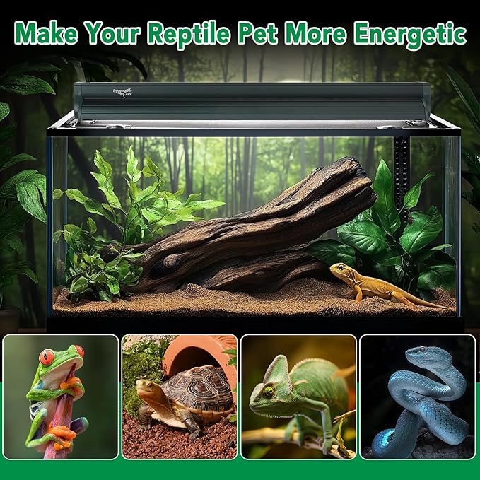 T5 Reptile Light Fixture Green Combo Kit 8W Light Fixture Reptile Terrarium Hood 10.0 UVB Light Bulb Fluorescent Tube Ideal for Tropical and Deserts Such as Bearded Dragon Lizards and Tortoises