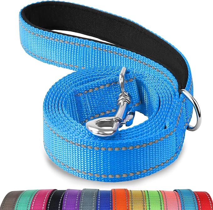 Joytale Dog Leash, 6 FT Double-Sided Reflective, Padded Handle Nylon Heavy Duty Leashes for Medium & Large Dogs Walking, SkyBlue