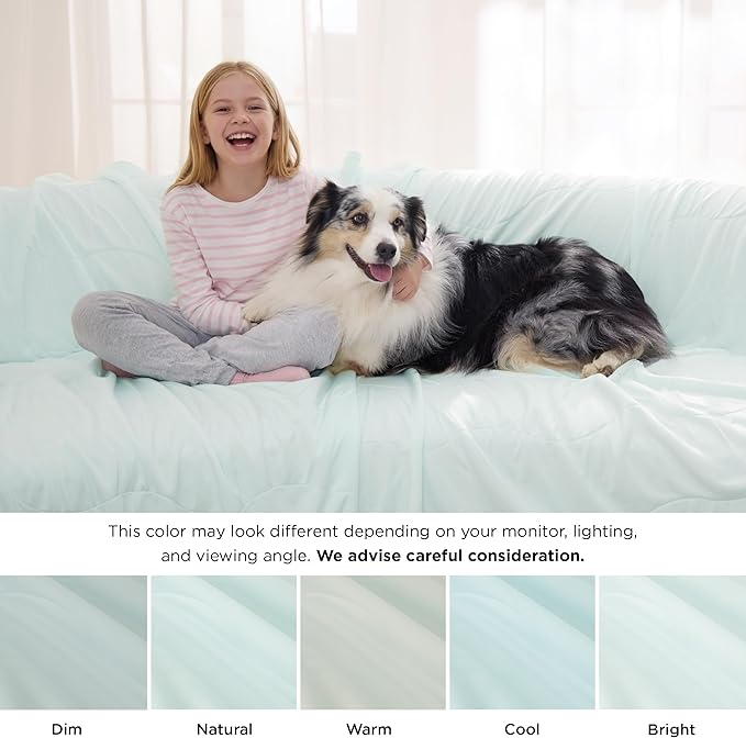 Bedsure Cooling Blanket for Large Dogs with Breathable Air-Core Fill Q-MAX>0.4 - Lightweight Pet Cat Throw Cold Blanket Washable for Summer，Soft Dog Cooling Mat for Couch Bed, Pale Jade, 50x60