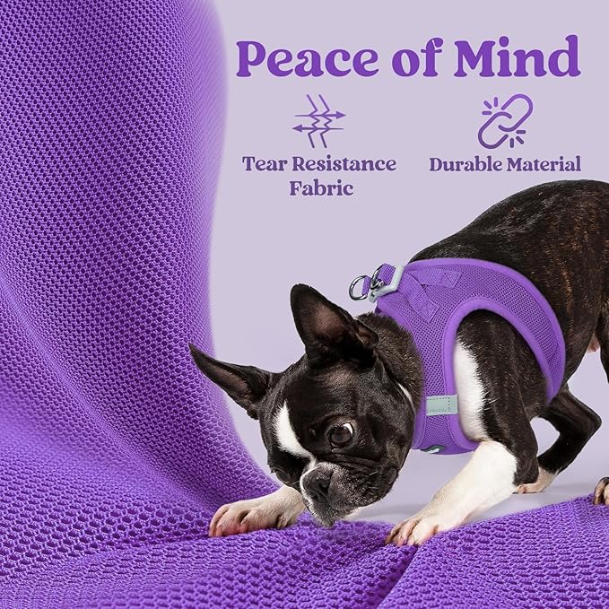 rabbitgoo Small Dog Harness, Step-in Soft Mesh Puppy Vest with Safety Buckle, Breathable Reflective Pet Harness for Extra Small Dogs, Purple XXXS