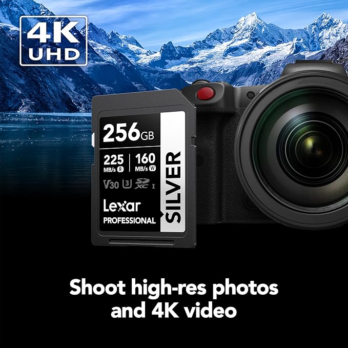 Lexar 256GB Professional Silver SD Card,