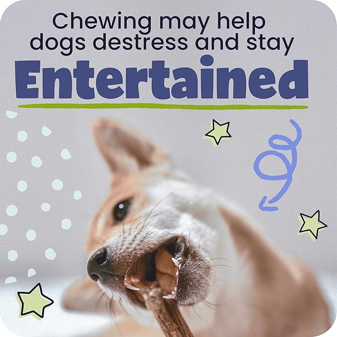 Pawstruck Natural 9” Braided Bully Sticks for Dogs - Tough, Long-Lasting, Rawhide-Free, Low Odor, Healthy Single Ingredient Chew Treat for Aggressive Chewers - 25 Count - Packaging May Vary