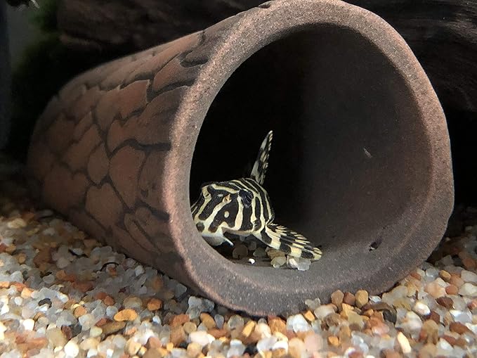 Plecoceramics Aquarium pleco breeding cave Fish Tank Decorations Small Size (1 pcs)