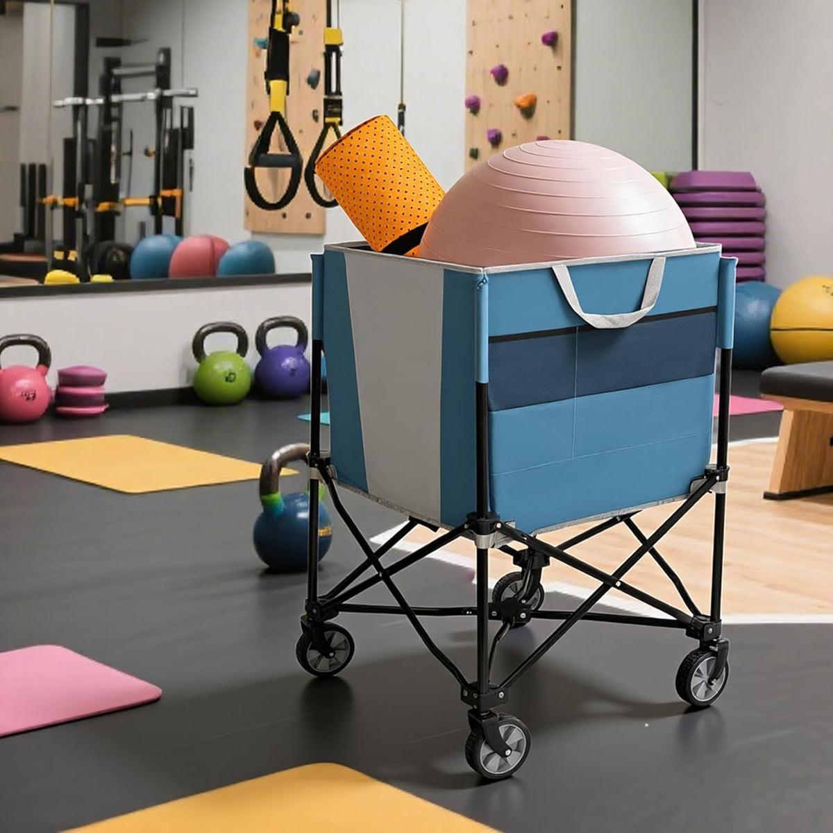 ZeHuoGe Rolling Ball Storage Cart - Collapsible Sports Equipment Organizer with Wheels | Multi-Sport Family Gym