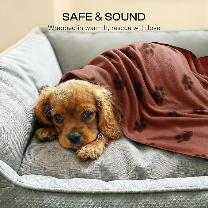 LINENLUX Cute Dog Blanket for Small Medium Dogs 6-Pack Soft Stretchy Fleece Blankets for Pet Cat Puppy Warm Wrinkle-Resistant Throw for Couch Bed Outdoor Coffee 40x31 inch (Pack of 6)