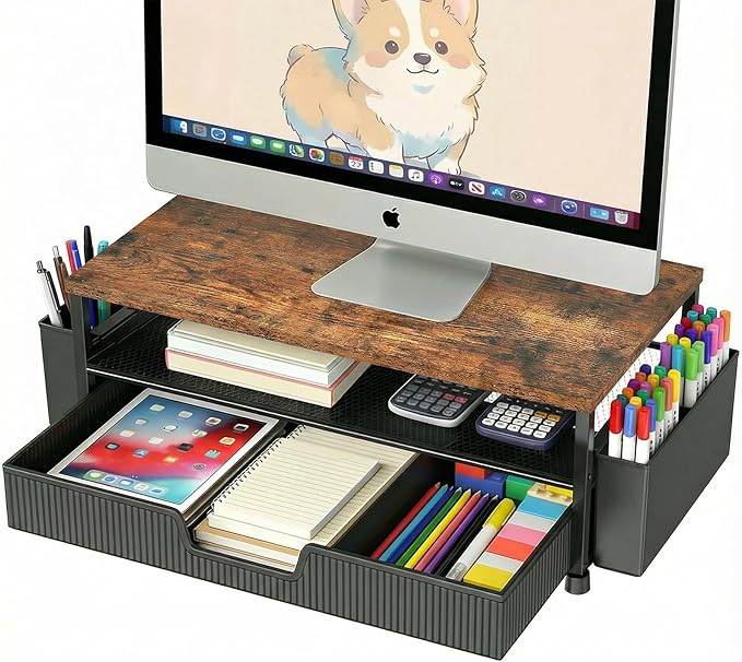ECOLOVI Desk Organizer and Accessories, 2-Tier Computer Monitor Stand Rise