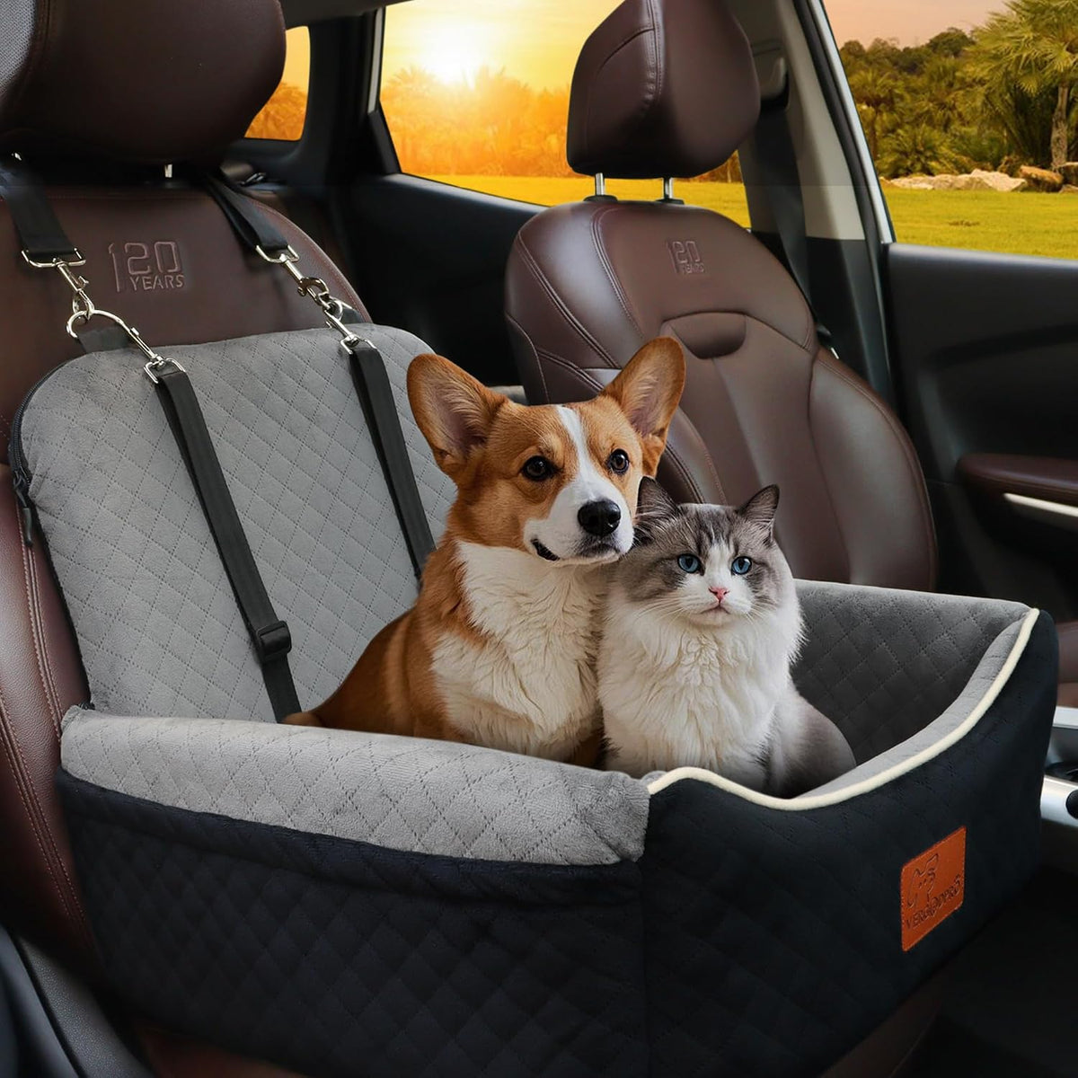 Dog Car Seat Bed 2 in 1 for Small/Medium Dogs up to 35 lbs,Adjustable Safety Leashes,Memory Foam with Soft Fabric Pets Travel Car Bed,Easily Installed in Front and Back seat,Removable and Washable.