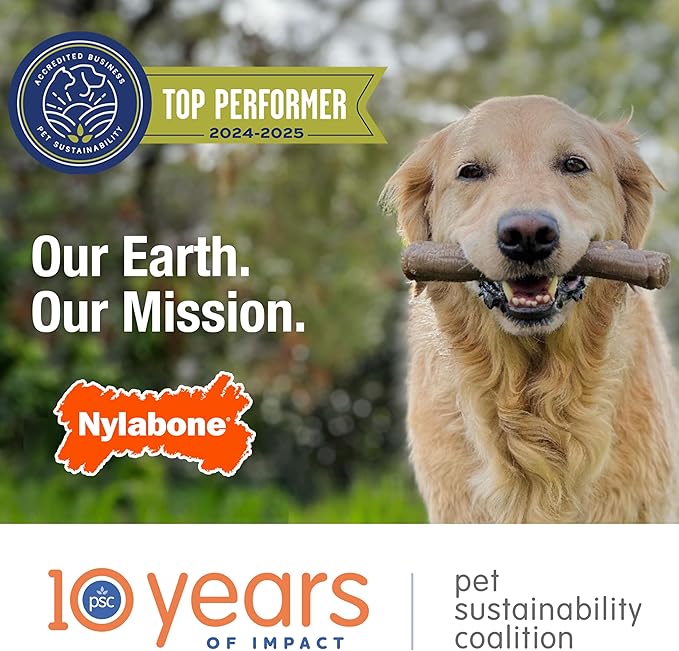 Nylabone Power Chew Original Bone - Durable & Tough Chew Toys for Aggressive Chewers - Durable Dog Toy for Medium Breeds - Original Flavor, Medium, Up to 35 Ibs. (1 Count)