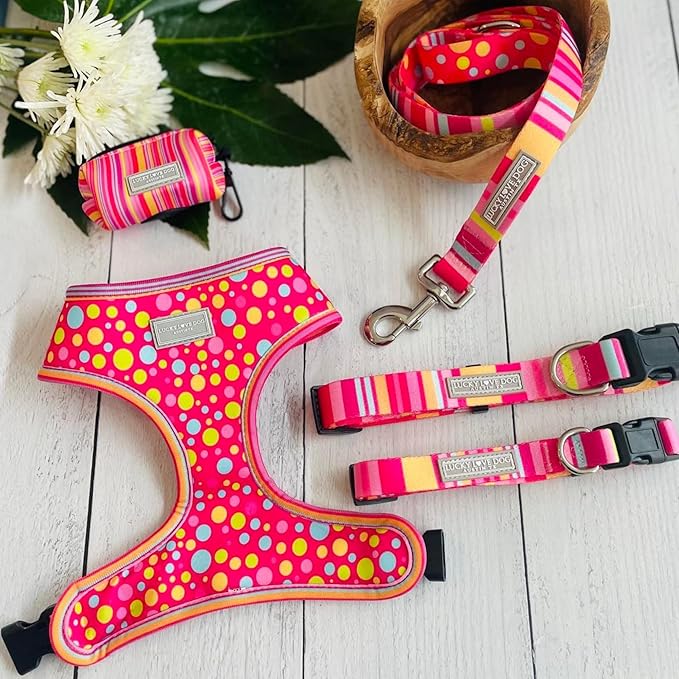 Lucky Love Dog - Easy Click Buckle Dog Collar with Leash Set Combo, Durable & Comfortable for Male & Female Dogs, Pet Collar for Small Dogs, Secure Fit - Molly Combo, Small