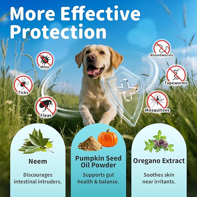 Dog Flea and Tick Support, Natural Herbal Flea & Tick Comfort for Dogs, Flea Liquid Drops Supplement for Dogs with Neem, Oregano, Pumpkin Seed Oil - Chicken Flavor, 2 FL.Oz - All Breeds & Sizes