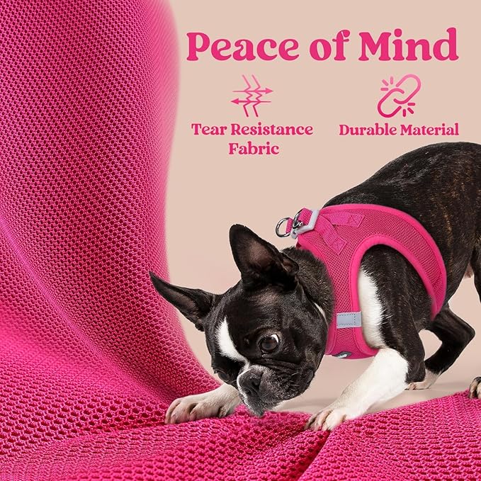 rabbitgoo Small Dog Harness, Step-in Soft Mesh Puppy Vest with Safety Buckle, Breathable Reflective Pet Harness for Small Sized Dogs, Rose Red S
