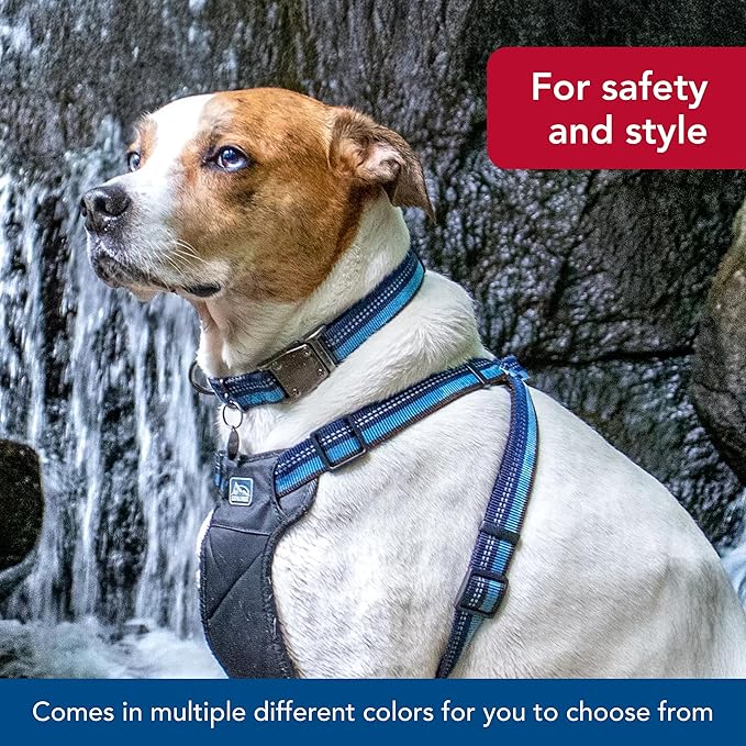 Coastal Pet K9 Explorer Reflective Adjustable Dog Collar - Comfortable Collar for The Outdoors - Durable, Lightweight Accessory with Side-Release Buckle - Berry, 5/8" x 10-14"