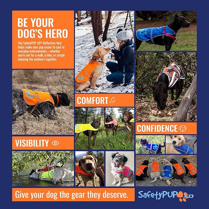 Dog Reflective Vest – Hi-Vis Fluorescent Visibility That Helps to Safeguard Your Pet On/Off Leash in Urban & Rural Areas (Yellow, Small)