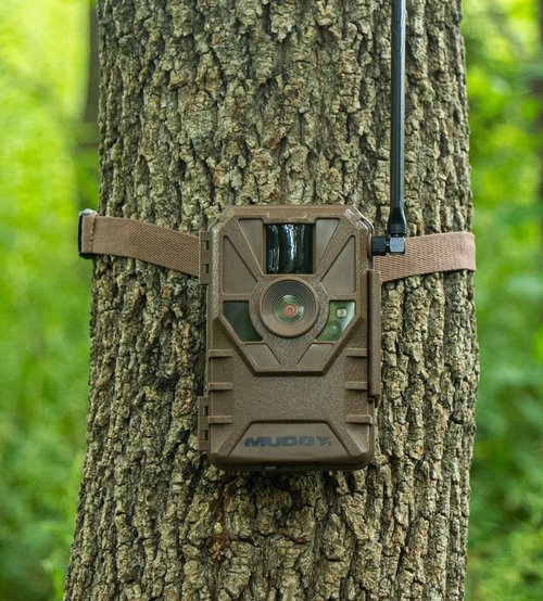 Muddy Manifest Cellular Camera with SD Card - Verizon