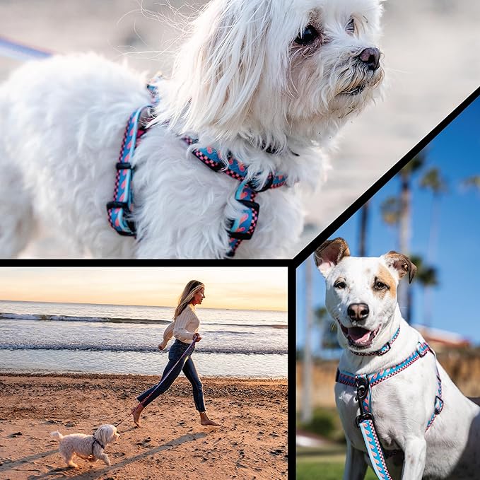 Wolfgang Heavy Duty Adjustable Dog Harness, Pull-Tested for Walking & Training, BuenaOnda Print, X-Large