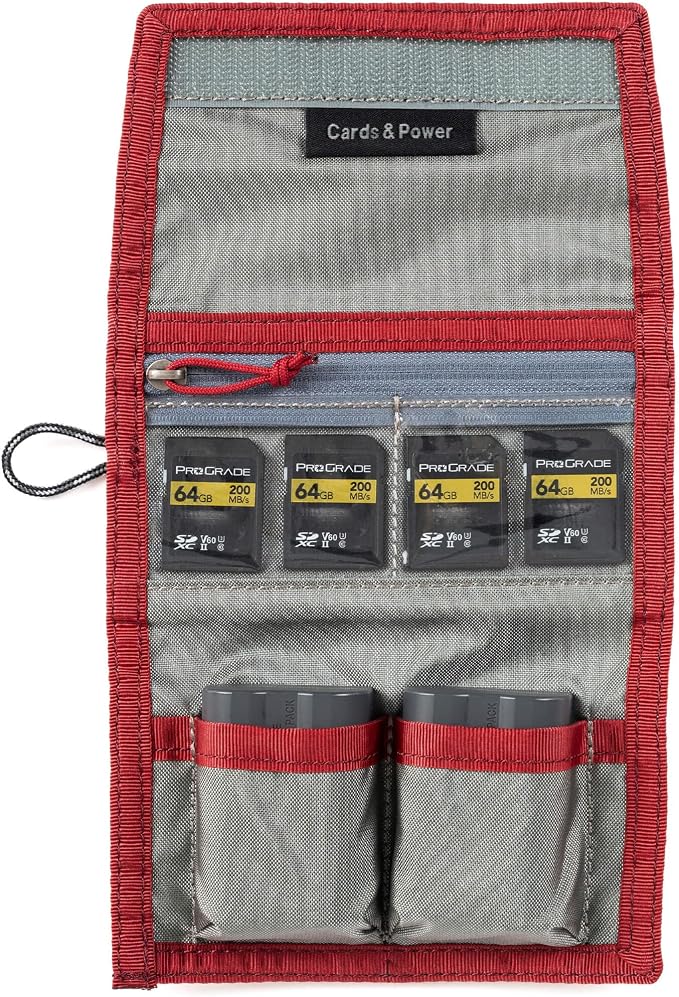 Think Tank Memory Card and Battery Wallet, Holds 2 CF or 4 SD Memory Cards