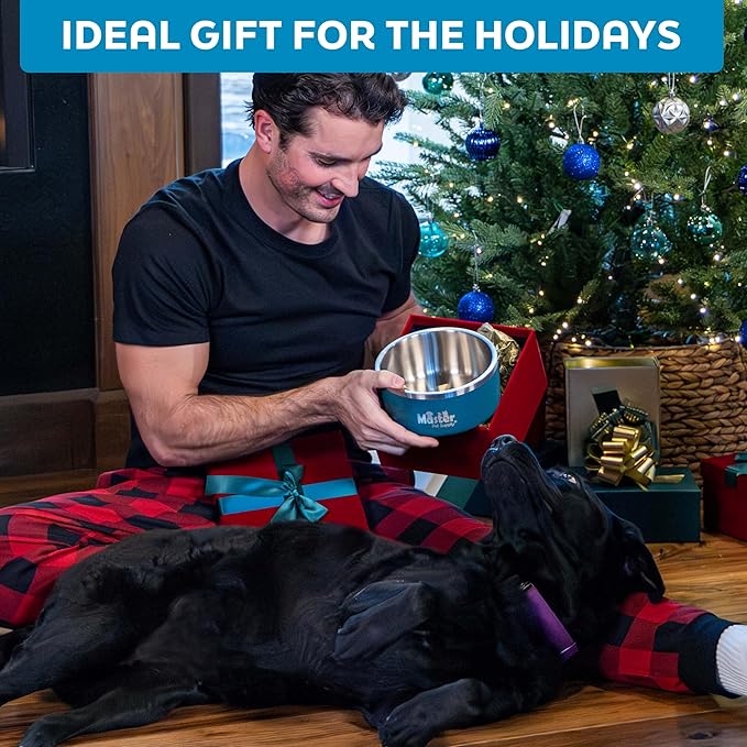 Master Pet Supply Stainless Steel Dog Bowls - 32 oz, Heavy Duty - Glacier Blue, Double Wall Extra-Thick Insulated, Non-Slip Pet Water Bowl for Dogs, Cats & Pets, Anti Rust Metal, Dish Washer Safe