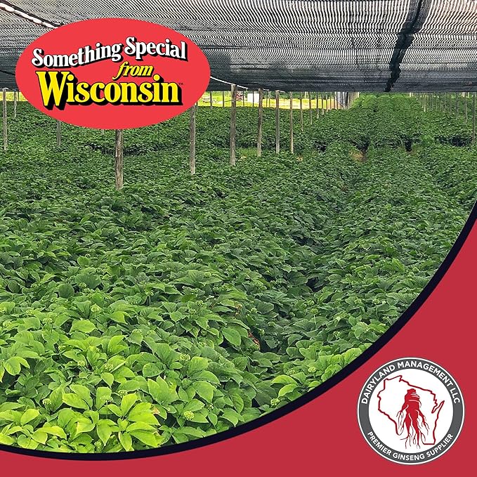 Dairyland American Ginseng Slices and Powder - 4 oz Pack Each of Wisconsin Ginseng – Direct from Farmer to Consumer 西洋参