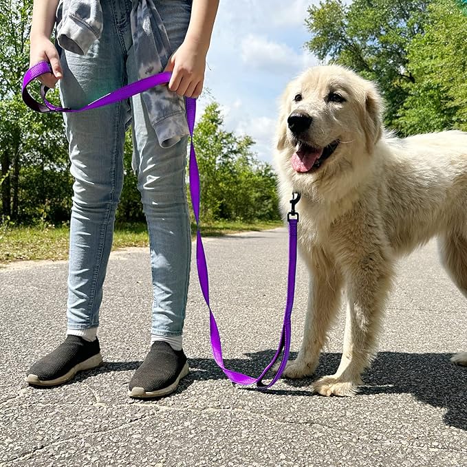 Joytale Dog Leash Heavy Duty for Large Dogs that Pull, Double Handle for Traffic Control, Double-Sided Reflective Leashes for Large Medium Dogs Night Safety, 5FT, Purple