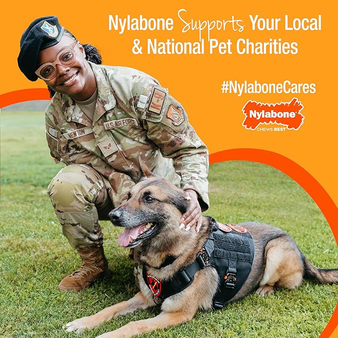 Nylabone Healthy Edibles Natural Dog Chews Long Lasting Bacon Flavor Treats for Dogs, Small/Regular (12 Count)