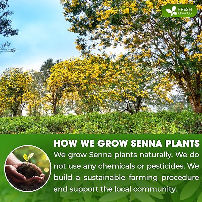 FreshDrinkUS, Premium 10oz Senna Leaf Powder, 100% Natural and Pure from Senna Leaves, No Additives, No Gluten, No Sugar, Vegan (10oz Senna Powder)