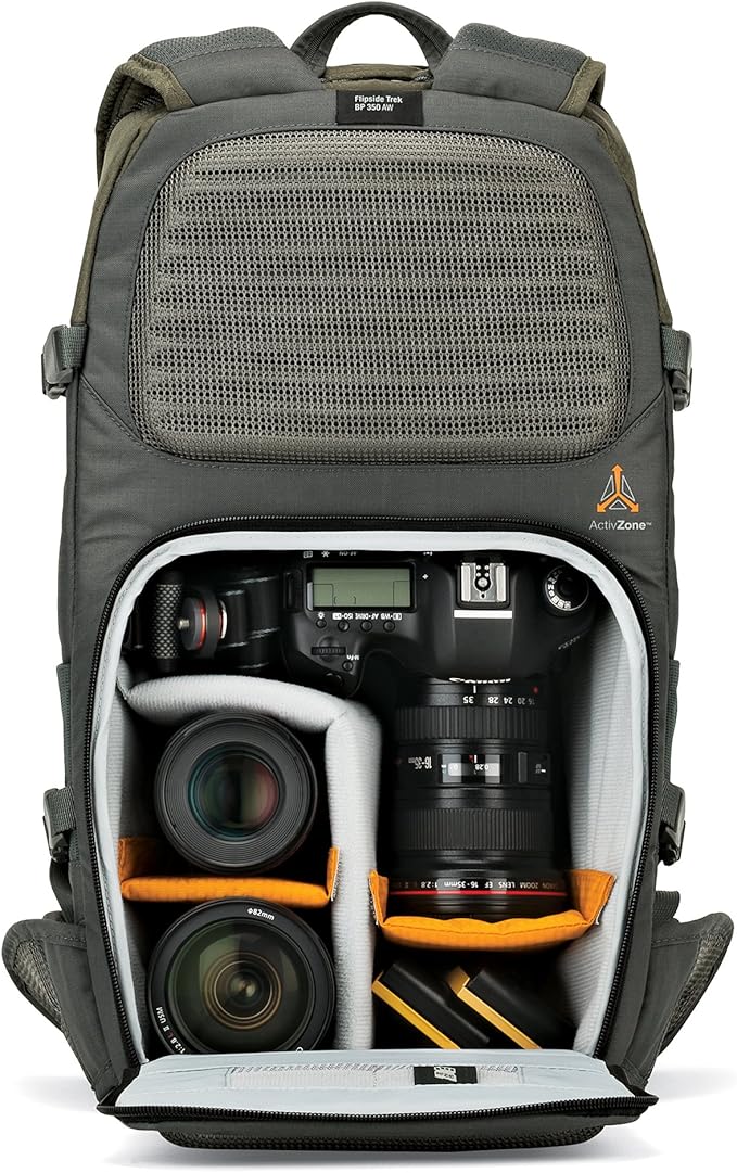 Lowepro LP37015-PWW, Flipside Trek BP 350 AW Backpack