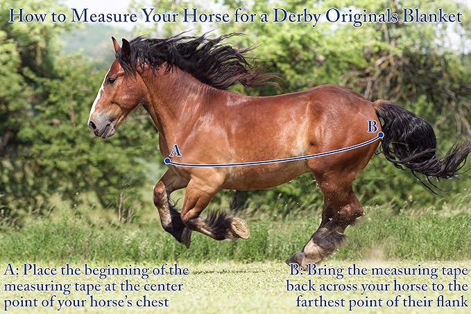 Derby Originals Nordic Tough 1200D Ripstop Waterproof Reflective Winter Horse Turnout Blanket 300g Heavy Weight, Chocolate Brown, 81"