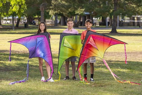 JOYIN Large Delta Kites - Easy to Fly Airplane & Spaceship Designs | Perfect for Kids & Adults Outdoor Fun