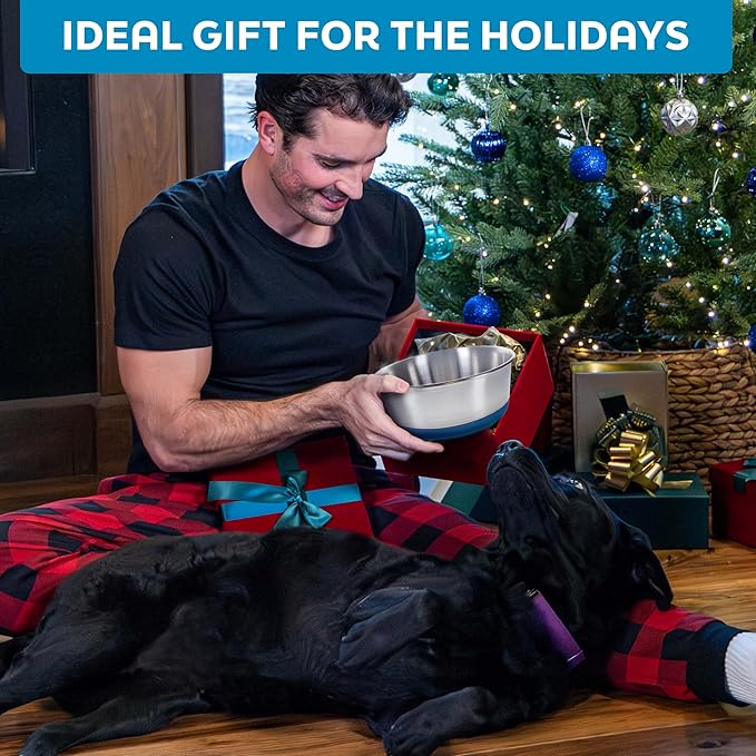 Master Pet Supply Stainless Steel Dog Bowls Set of 2 with Extra Thick Silicone Base - 8 Cup (64 oz) Graphite, Non-Slip, Dishwasher Safe Metal Bowls, Pet Dog Food Bowl for Dogs, Cats, Anti Rust